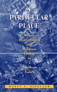 bokomslag A Particular Place: Urban Restructuring and Religious Ecology in a Southern Exurb