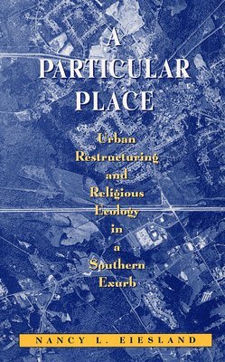 bokomslag A Particular Place: Urban Restructuring and Religious Ecology in a Southern Exurb