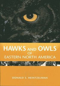 bokomslag Hawks and Owls of Eastern North America