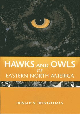 bokomslag Hawks and Owls of Eastern North America