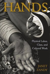 bokomslag Hands: Physical Labor, Class, and Cultural Work