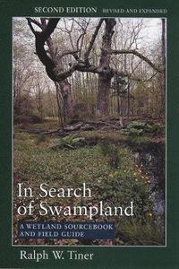 bokomslag In Search of Swampland