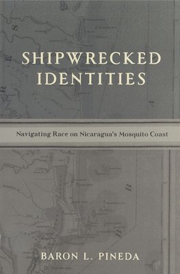 bokomslag Shipwrecked Identities