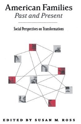 bokomslag American Families Past and Present: Social Perspectives on Transformations
