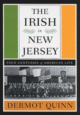 bokomslag The Irish in New Jersey