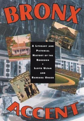 bokomslag Ultan, L: Bronx Accent