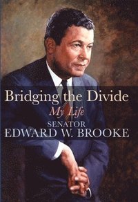 bokomslag Bridging the Divide