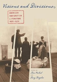 bokomslag Visions and Divisions: American Immigration Literature, 1870-1930