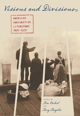 bokomslag Visions and Divisions: American Immigration Literature, 1870-1930