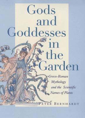 bokomslag Gods and Goddesses in the Garden