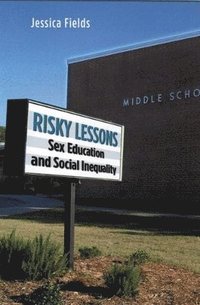 bokomslag Risky Lessons