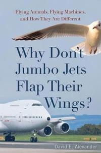 bokomslag Why Don't Jumbo Jets Flap Their Wings?