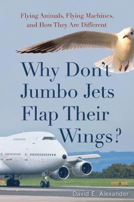 Why Don't Jumbo Jets Flap Their Wings? 1