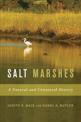 Salt Marshes 1