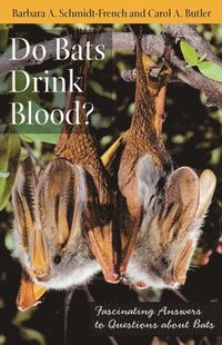 bokomslag Do Bats Drink Blood?