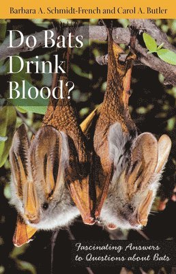 bokomslag Do Bats Drink Blood?: Fascinating Answers to Questions about Bats