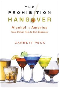bokomslag The Prohibition Hangover