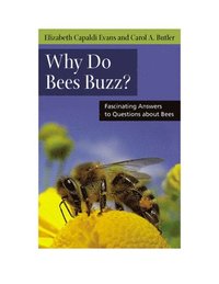 bokomslag Why Do Bees Buzz?: Fascinating Answers to Questions about Bees