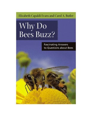 bokomslag Why Do Bees Buzz?: Fascinating Answers to Questions about Bees