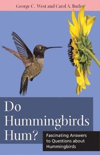 bokomslag Do Hummingbirds Hum?: Fascinating Answers to Questions about Hummingbirds