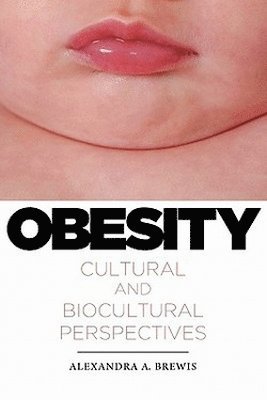 bokomslag Obesity