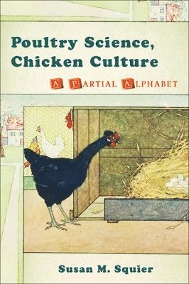 bokomslag Poultry Science, Chicken Culture