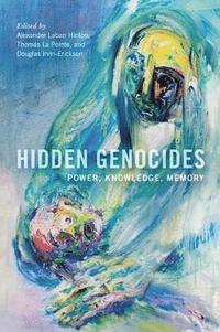 bokomslag Hidden Genocides
