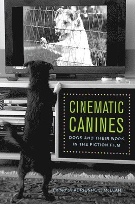 Adrienne L. McLean, Adrienne L McLean - Cinematic Canines: Dogs and Their Work in the Fiction Film, Häftad