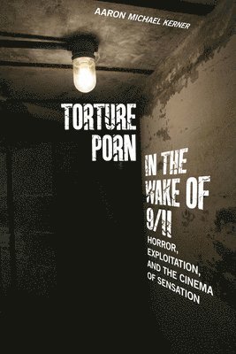 bokomslag Torture Porn in the Wake of 9/11