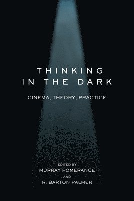 Murray Pomerance, R. Barton Palmer, R Barton Palmer - Thinking in the Dark, Häftad