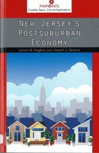 bokomslag New Jersey's Postsuburban Economy