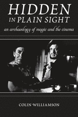 Hidden in Plain Sight 1