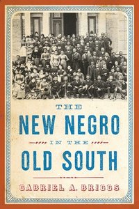 bokomslag The New Negro in the Old South