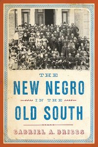bokomslag The New Negro in the Old South