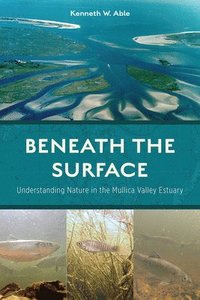 bokomslag Beneath the Surface: Understanding Nature in the Mullica Valley Estuary