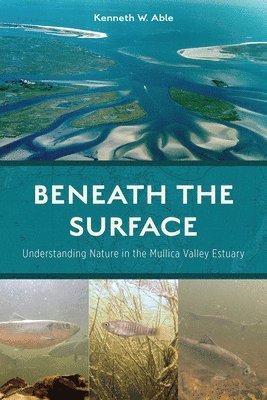 bokomslag Beneath the Surface: Understanding Nature in the Mullica Valley Estuary