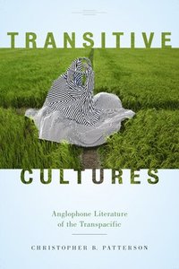 bokomslag Transitive Cultures