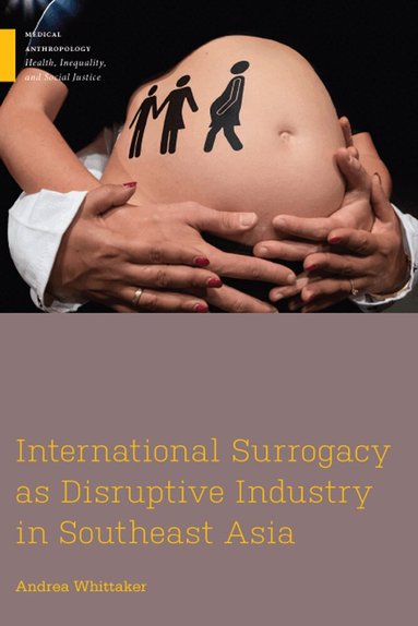 Andrea Whittaker - International Surrogacy As Disruptive Industry in Southeast Asia, Häftad