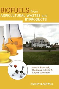 bokomslag Biofuels from Agricultural Wastes and Byproducts