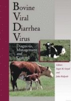 bokomslag Bovine Viral Diarrhea Virus: Diagnosis, Management ,and Control