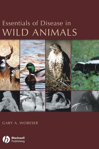 bokomslag Essentials of Disease in Wild Animals