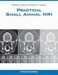 bokomslag Small Animal MRI