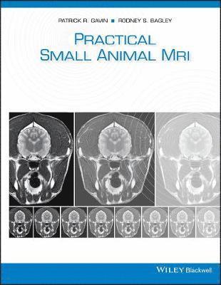 Practical Small Animal MRI