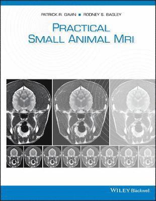 Small Animal MRI 1