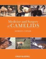 bokomslag Medicine and Surgery of Camelids