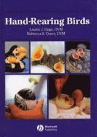 bokomslag Hand-Rearing Birds