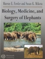 bokomslag Biology, Medicine, and Surgery of Elephants