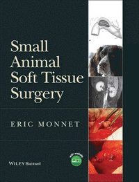 bokomslag Small Animal Soft Tissue Surgery