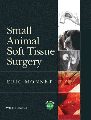 bokomslag Small Animal Soft Tissue Surgery