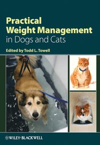 bokomslag Practical Weight Management in Dogs and Cats